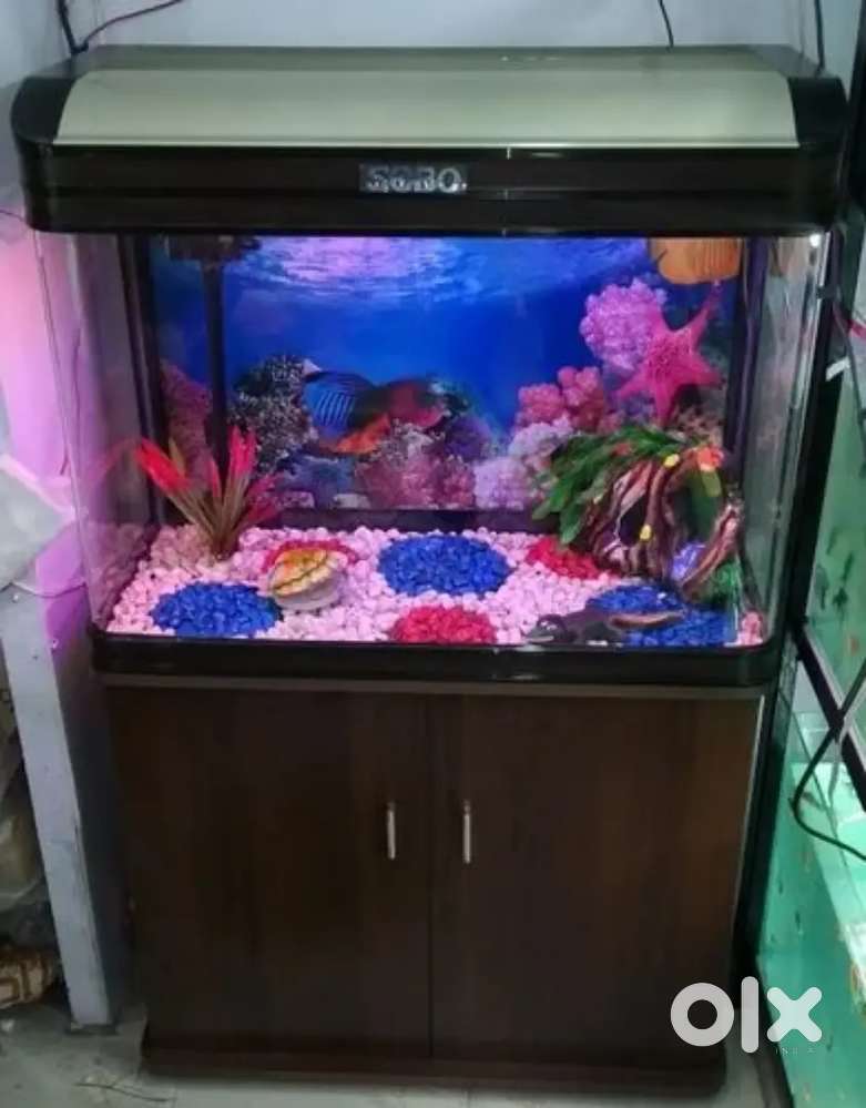 Sebo 4 ft fish tank