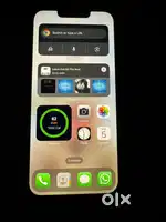 13 pro 256 gb