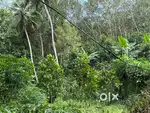 10 Acre Plot For Sale , Pala - Near Kozhuvanal