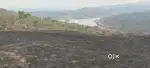 33 Acre Agricultural open land for sale