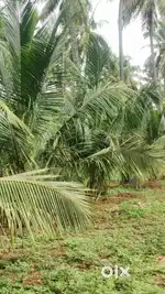 Pollachi to Coimbatore hiway road 4,km