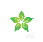 Front ofc executive