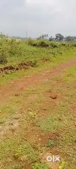 Plots sell