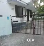 Need a rent house