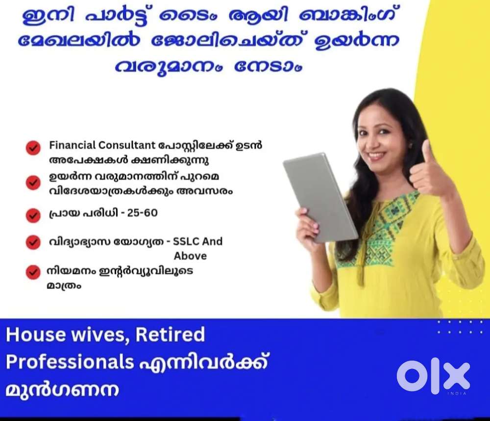 Financial Consultant