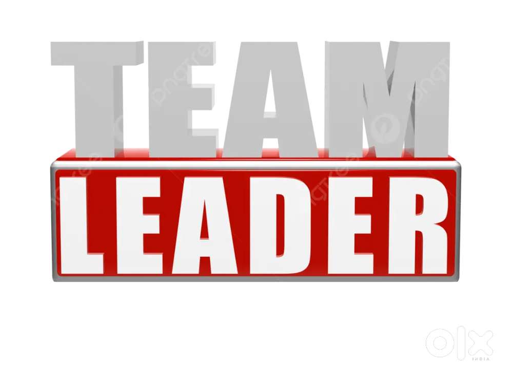 Immediate requirement for team leaders