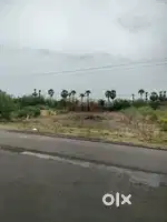Near Nobel school - ₹350000/cent