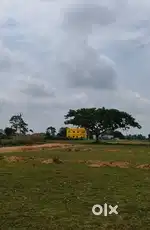 Pure general land