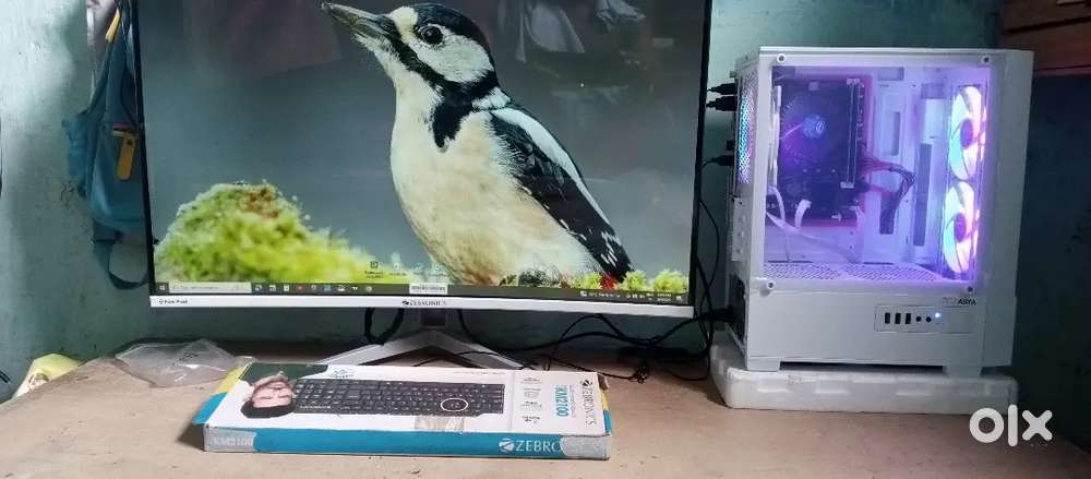 Monitor Zebronics for gaming
