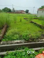 जल्दी संपर्क करें