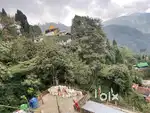 Urgent sale 26 pole land