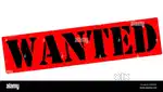 Wanted Male and Female