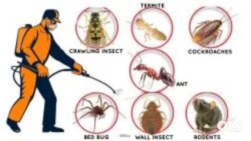 PEST CONTROL SERVICES AVAILABLE FOR COCKROACH AND TERMITE SERVICE