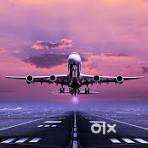 URGENT REQUIREMENT FOR TICKETING EXECUTIVE AND GROUND STAFF IN AIRPORT