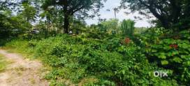 Prime Plot for Sale in Navelim, Margao! Your Dream Awaits!