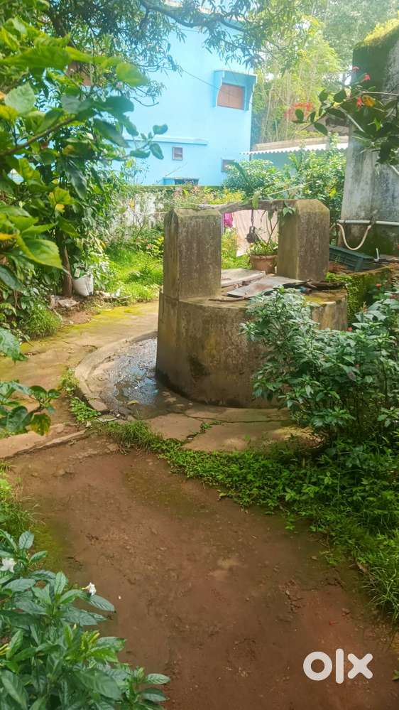 6.5 Cents Land for Sale Near SLN Medical College, Janiguda, Koraput