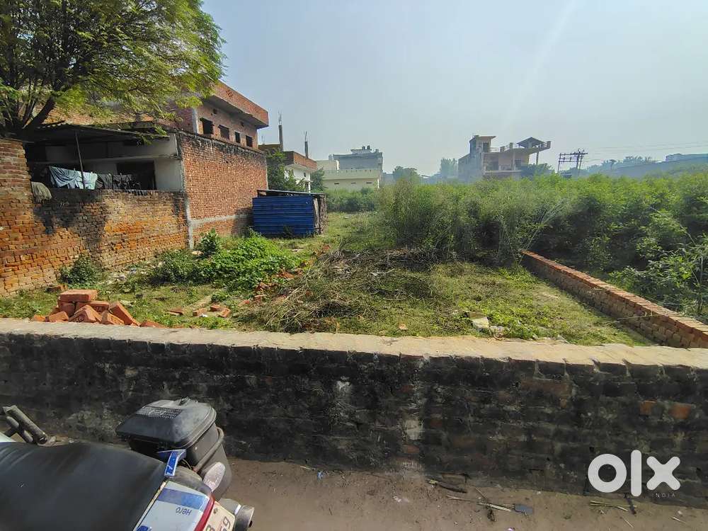 Ranidiha me plot hai