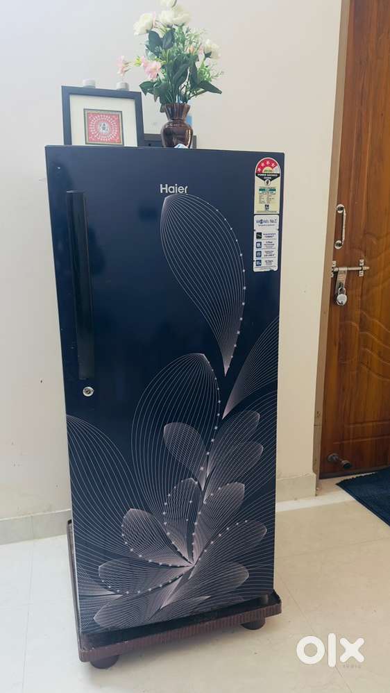 HAIER 195 lt,  STUDY TABLE, CHAIR, Mattress, plants