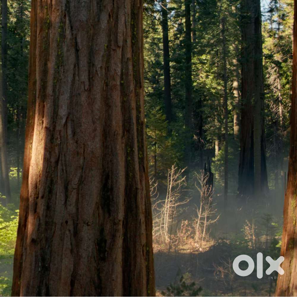 2BHK Rent CDA-6 Roadside