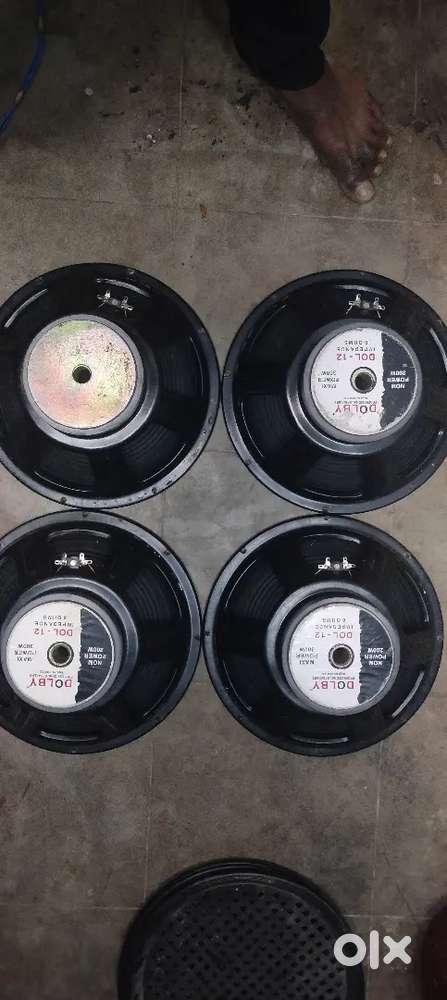 Dolby 12 inch Speakers