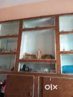 Room available at Teliyarganj MahavirPuri.