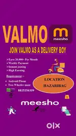 Mesho parcel delivery