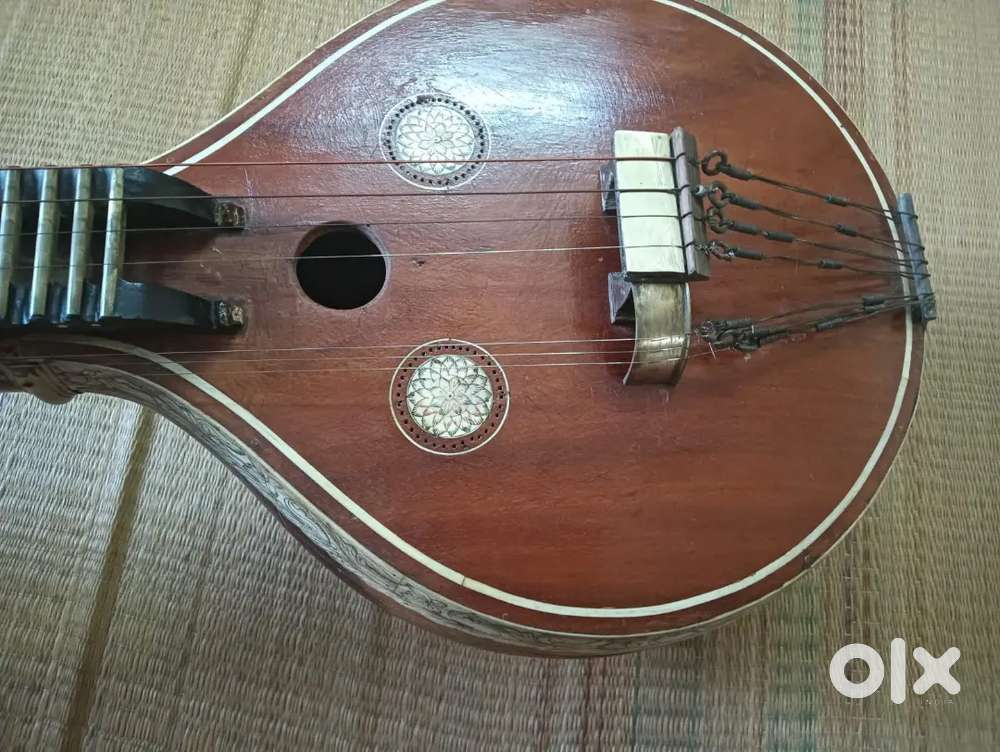Old veena antelope more than 60 years