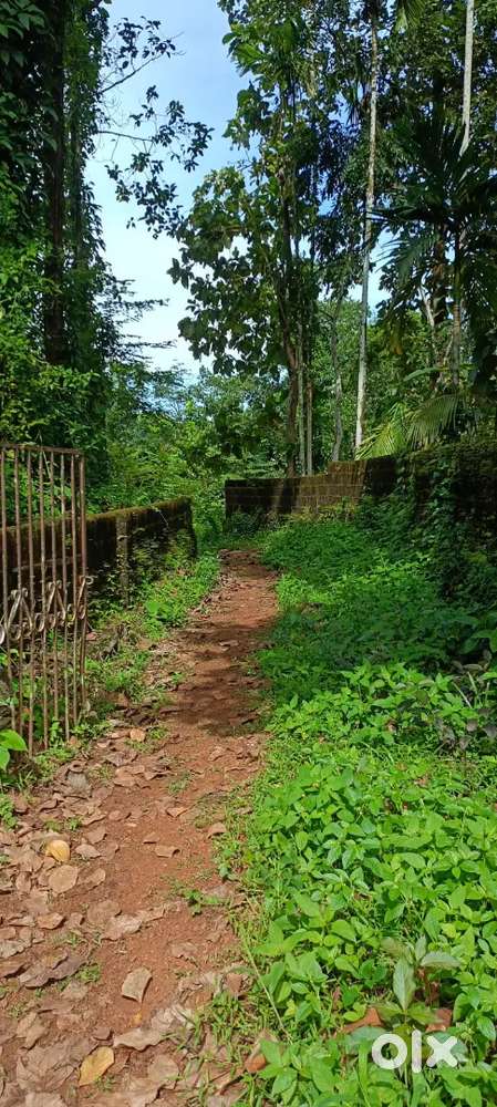 30 CENT പുല്ലാട്