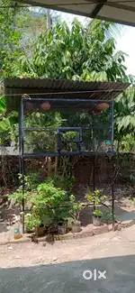 Cage for sale