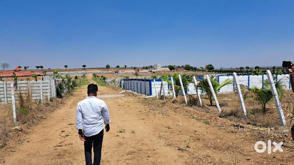 50% OFF , offer price, KANDUKOOR SHREESHAILAM HAIWAY