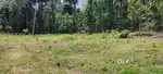 103 cent land / plot  available for rent