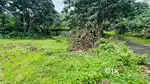 property for sale in ranni