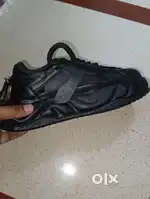Best Vip shoes