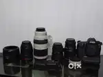 Canon 5D Mark IV + Canon 100-400 II L IS USM & 3 Prime lenses.