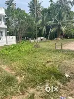 Original land 9 cent 2 nd plot MLA road Panagad 1.5 km from NH kufos