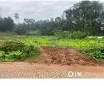 Residencial or commercial land busroad frontage