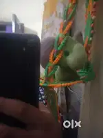 NICE PHONE ONLY SPAEAKRR KHARAb