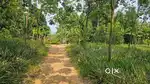 കോതമംഗലം നാഷണൽ ഹൈവേക്ക് സമീപം  5 ഏക്കർ സ്ഥലം വില്പനക്ക്.
