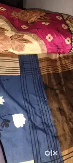 Contact only for girls ,only girls