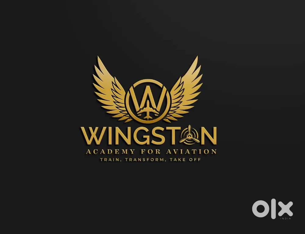 Looking for Pilots to train theory classes in an Aviation institute