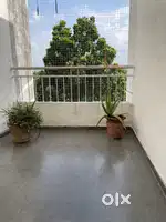 Whitewashed & Spacious 2BHK with Green Views for Rent