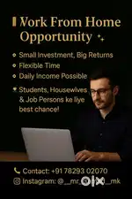 Urgent Requirement For Work Frome Home
