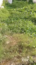 Ravli road near Sai mandir opposite sant franchise school  highway roa