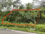 Land for sale.