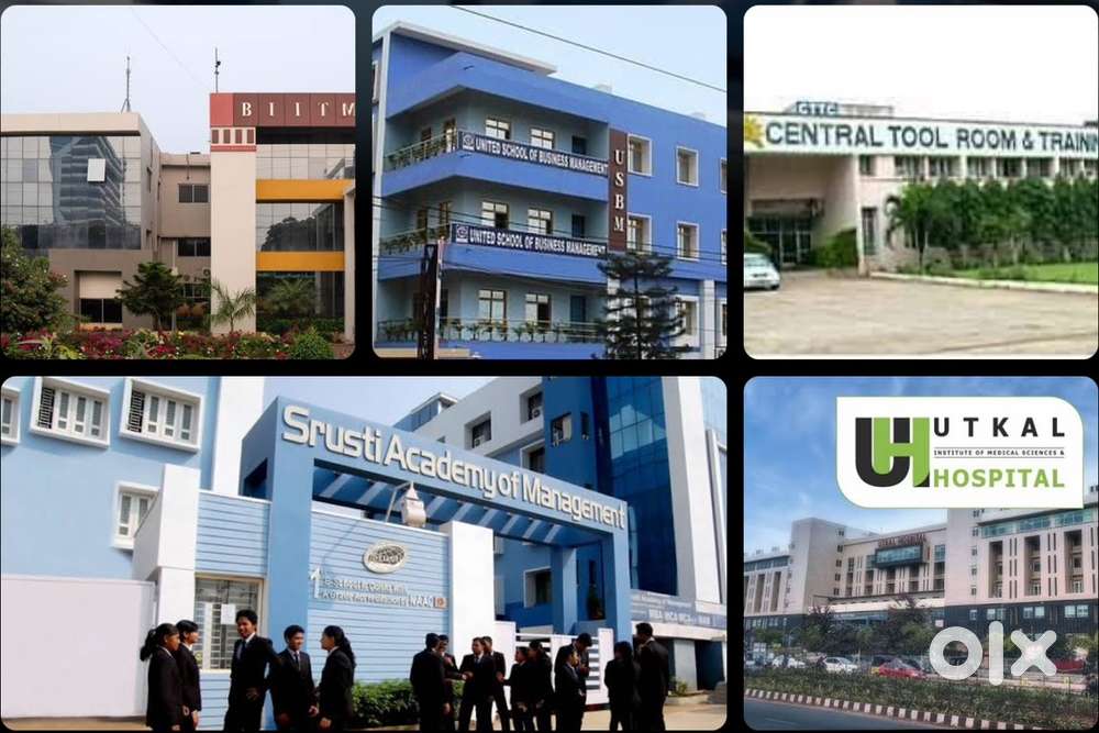 Need female Experience telecaling & Back office staff in Patia