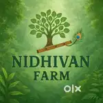 Best farmhouse project price only per sqft 375rs pre  launch price
