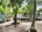 Sale for 11cent land and 650 sqft house.Road frontage