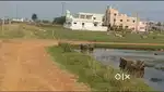 Residential Plots at Braja Nagar, Mandiapalli Near  University.