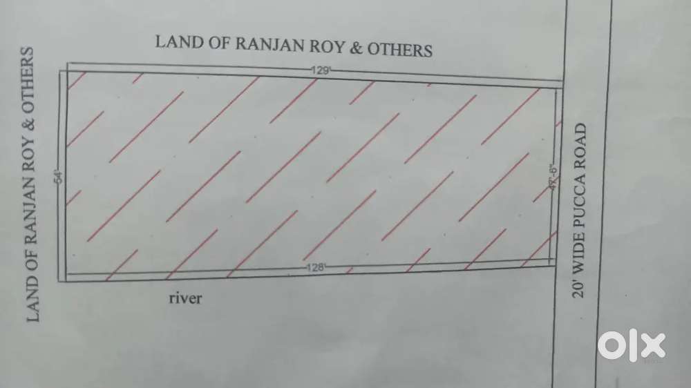 Land for sale Petkati Maynaguri near Petkati bridge