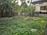 9.50 Cent Good Residencial Plot For Sale Puthiya Road Palarivattom.